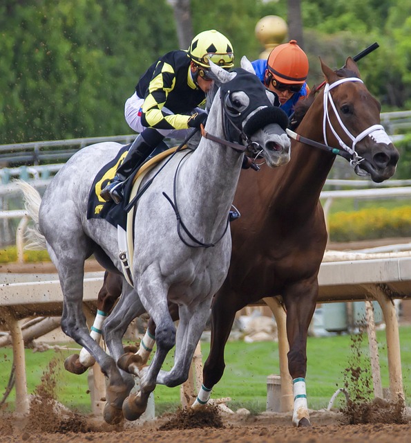 升了比赛的 升了比赛的